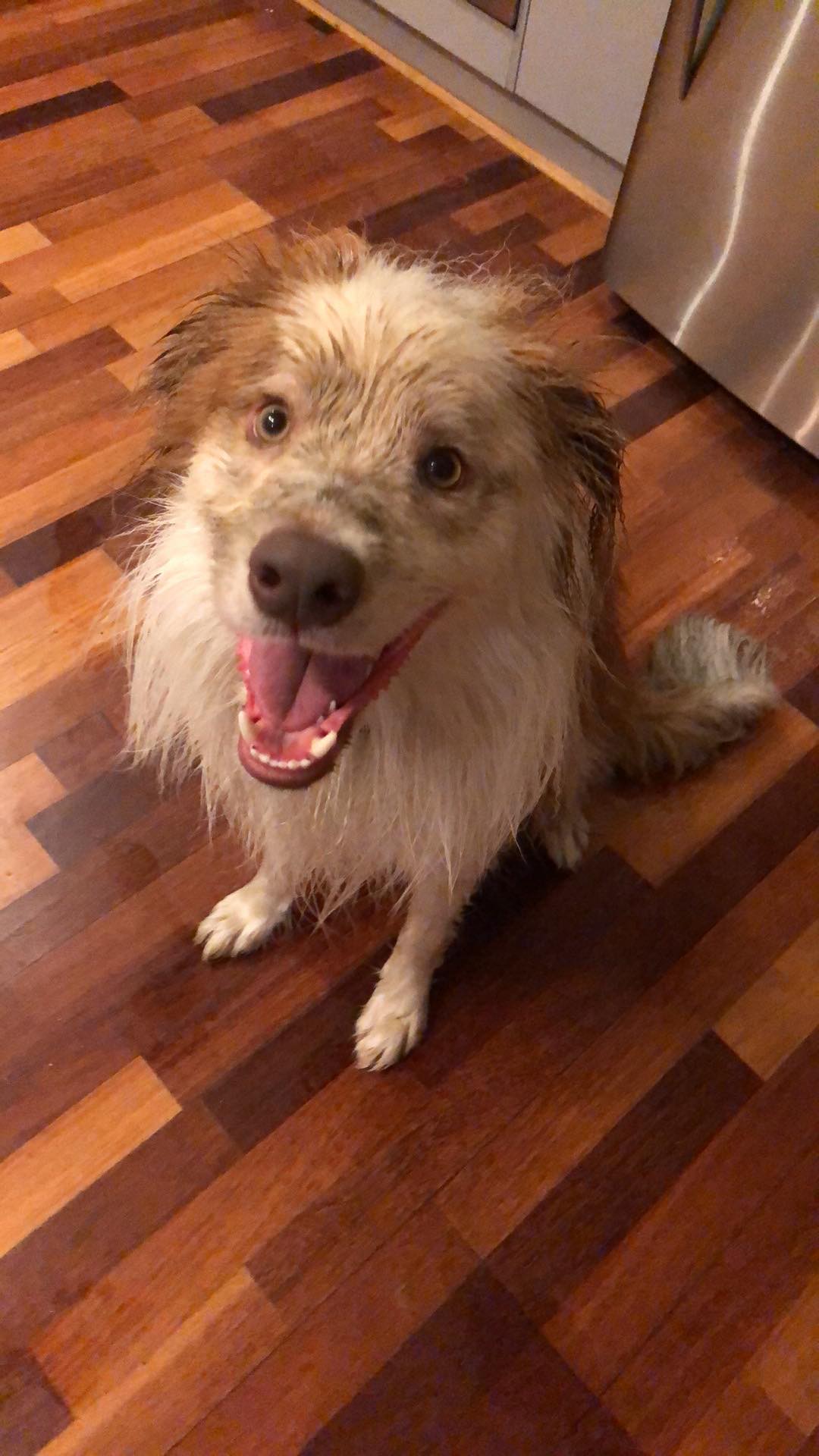 Dirty and happy